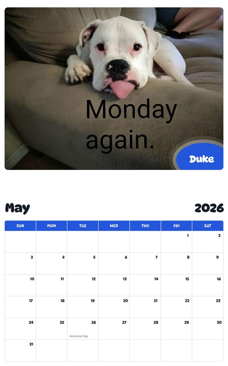 2026 - 2027 Duke - Pawidols Pet Calendar