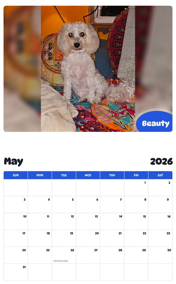 2026 - 2027 Beauty - Pawidols Pet Calendar