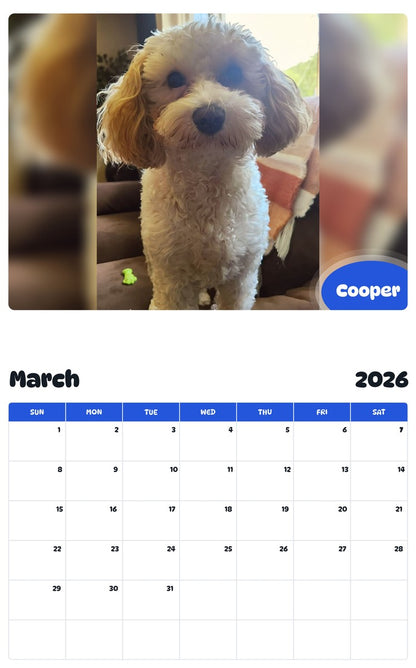 November 2025 - October 2026 Cooper - Pawidols Pet Calendar