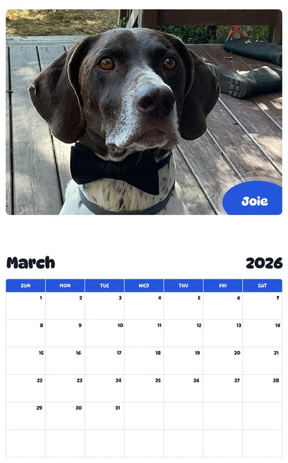 November 2025 - October 2026 Joie - Pawidols Pet Calendar