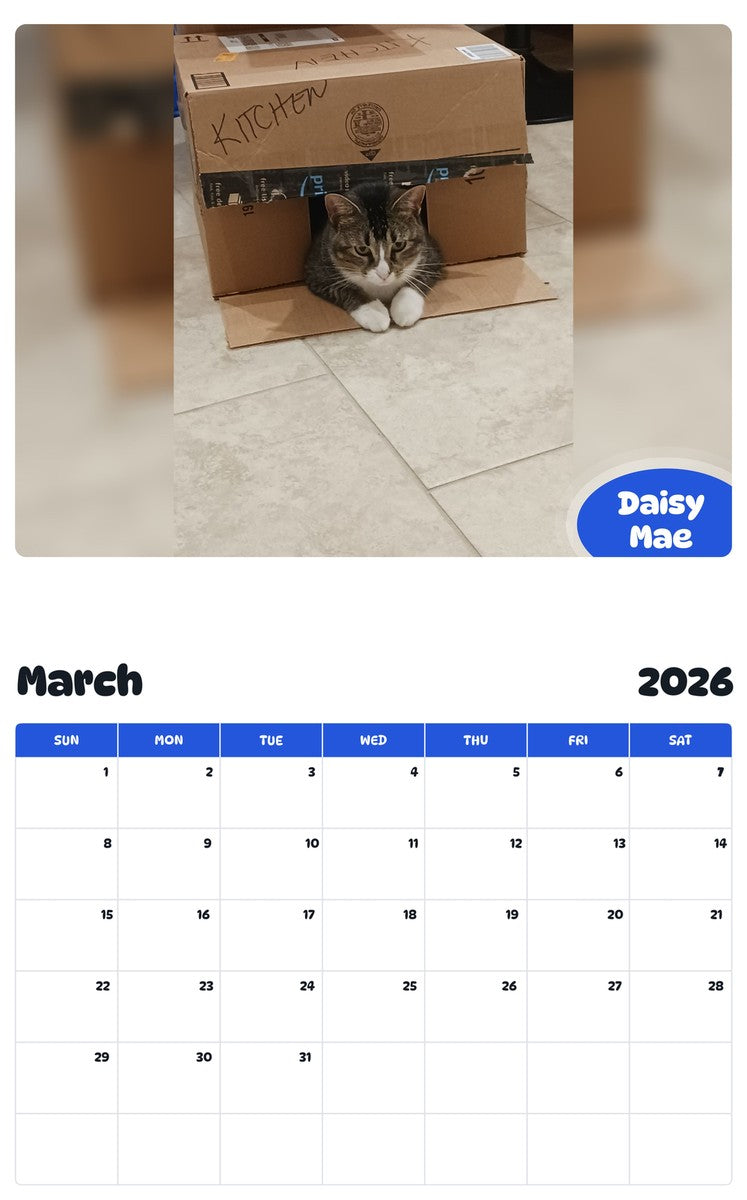 November 2025 - October 2026 Daisy Mae - Pawidols Pet Calendar