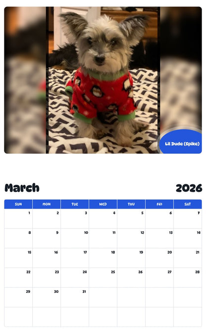 November 2025 - October 2026 Lil Dude (Spike) - Pawidols Pet Calendar