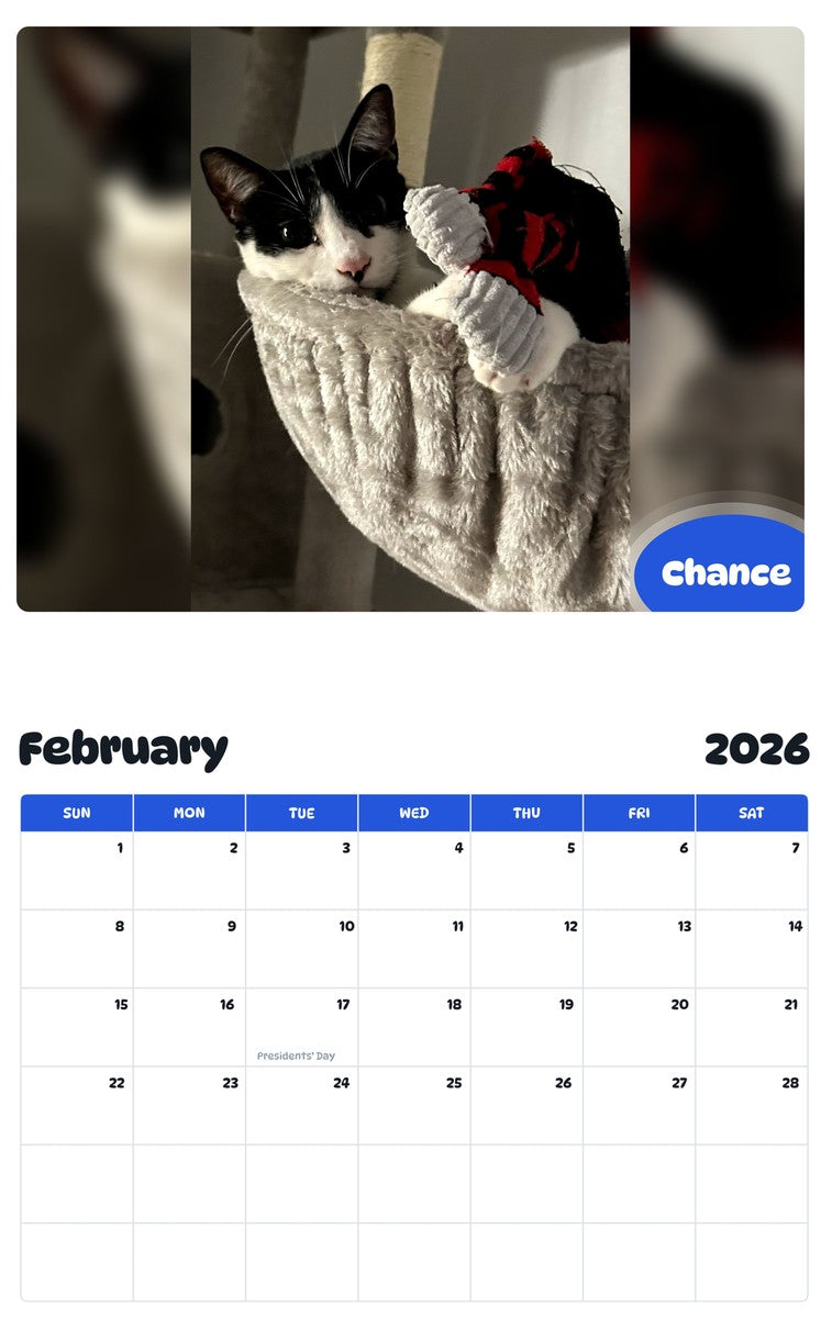 October 2025 - September 2026 Chance - Pawidols Pet Calendar