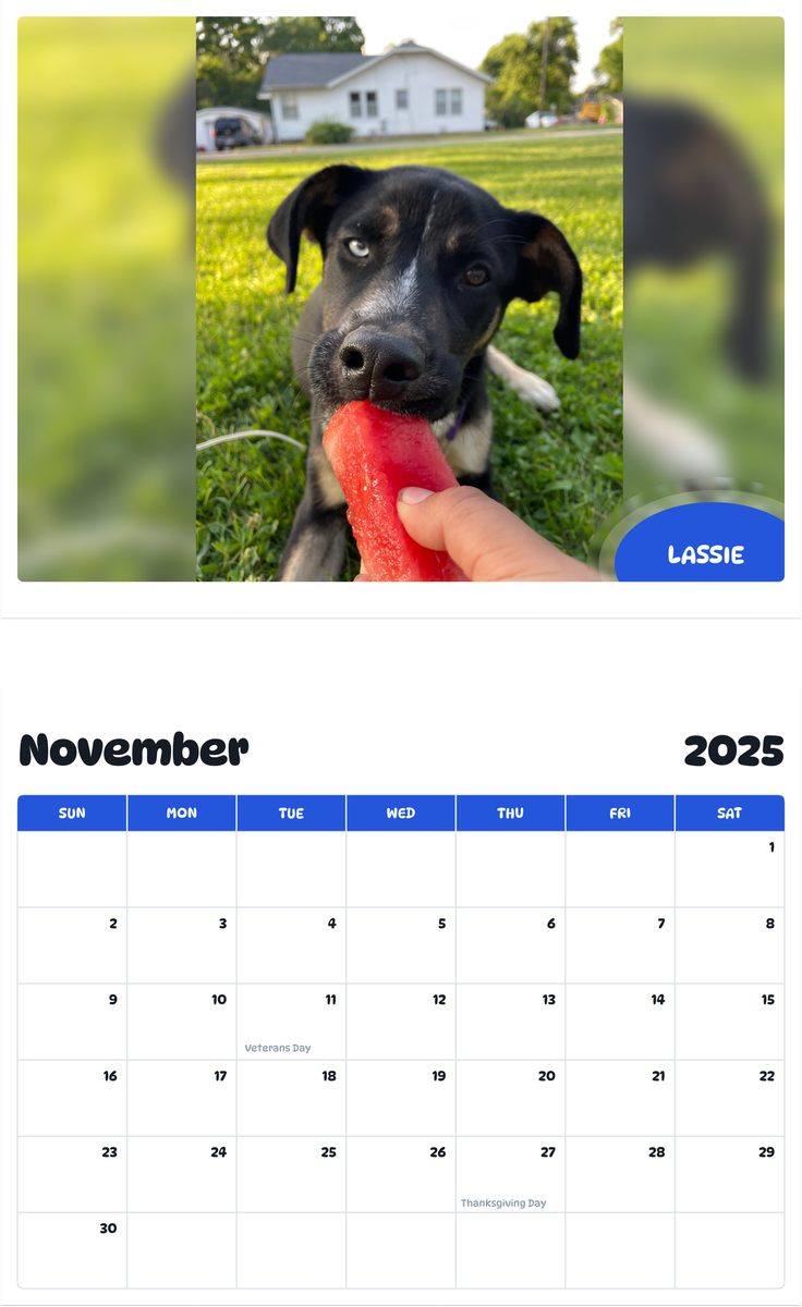 July 2025 - June 2026 Lassie - Pawidols Pet Calendar