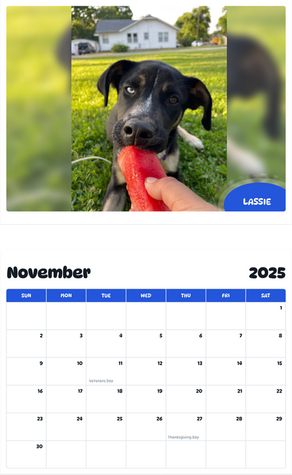 July 2025 - June 2026 Lassie - Pawidols Pet Calendar