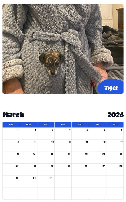 November 2025 - October 2026 Tiger - Pawidols Pet Calendar
