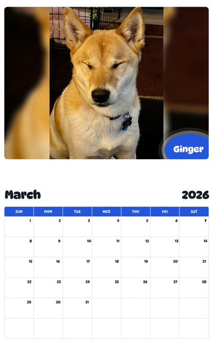 November 2025 - October 2026 Ginger - Pawidols Pet Calendar