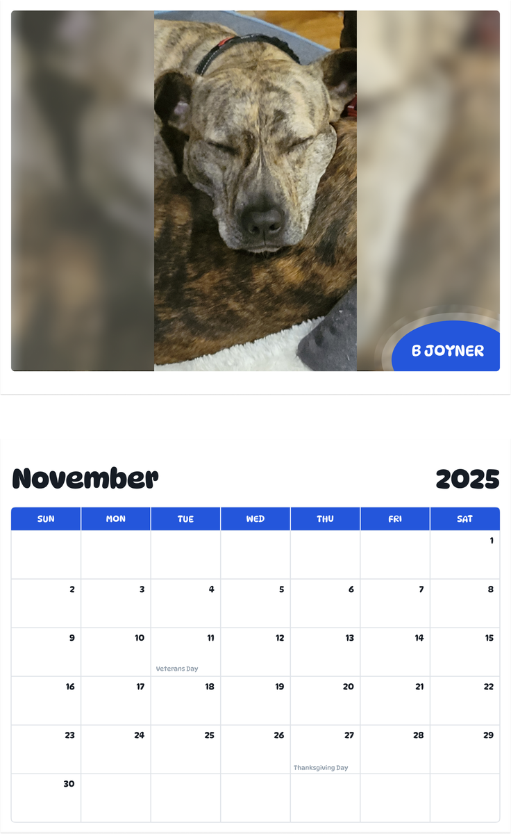 July 2025 - June 2026 B Joyner - Pawidols Pet Calendar