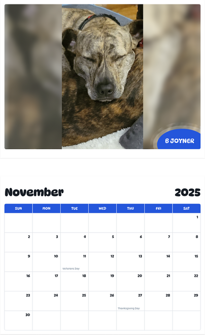 July 2025 - June 2026 B Joyner - Pawidols Pet Calendar