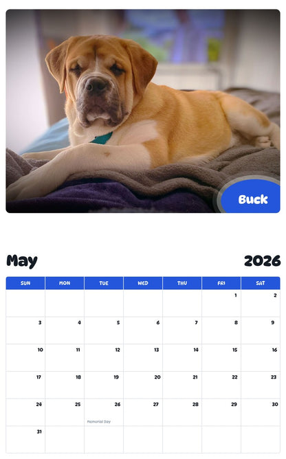 2026 - 2027 Buck - Pawidols Pet Calendar
