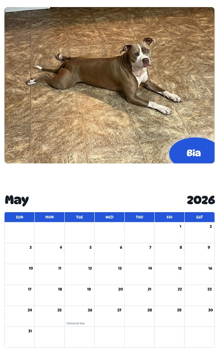 2026 - 2027 Bia - Pawidols Pet Calendar