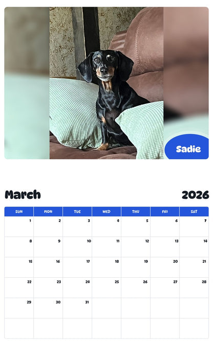 November 2025 - October 2026 Sadie - Pawidols Pet Calendar