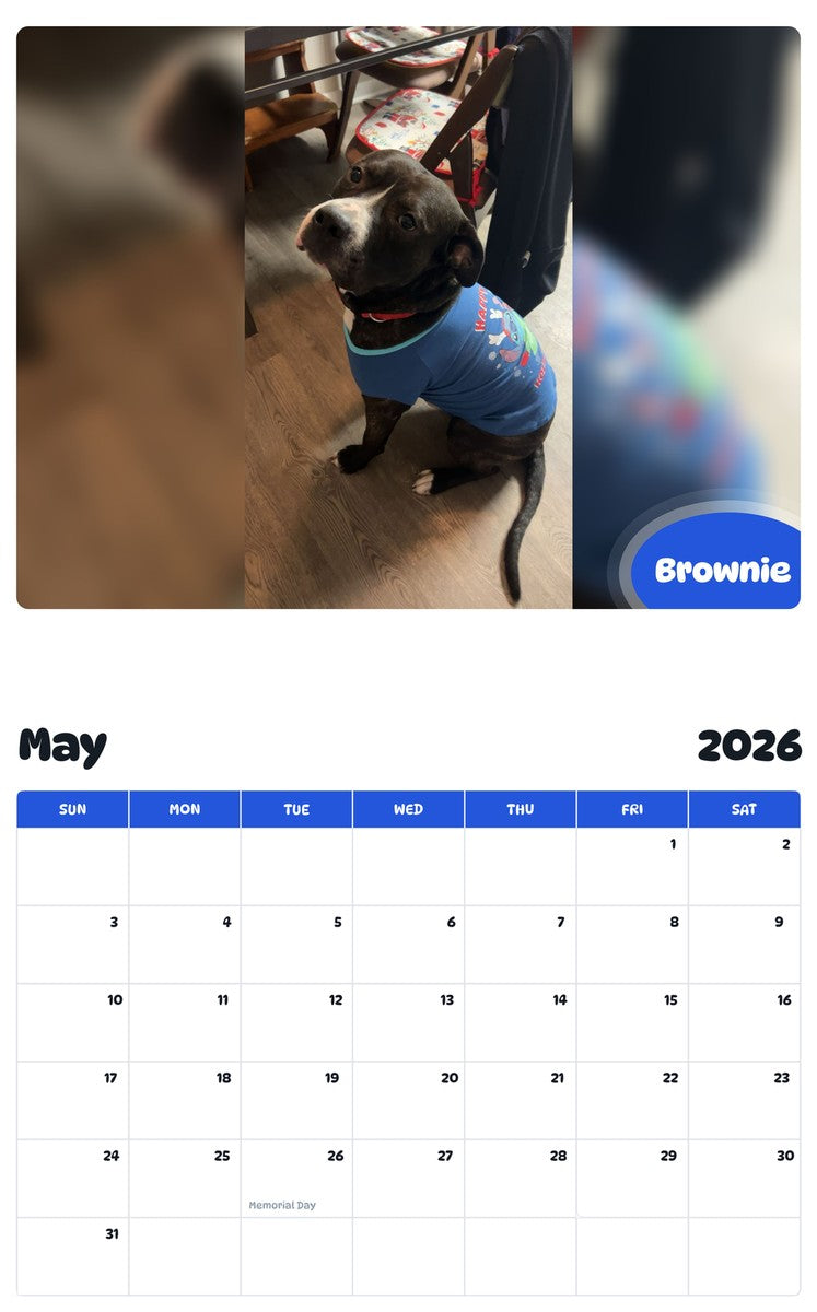 2026 - 2027 Brownie - Pawidols Pet Calendar