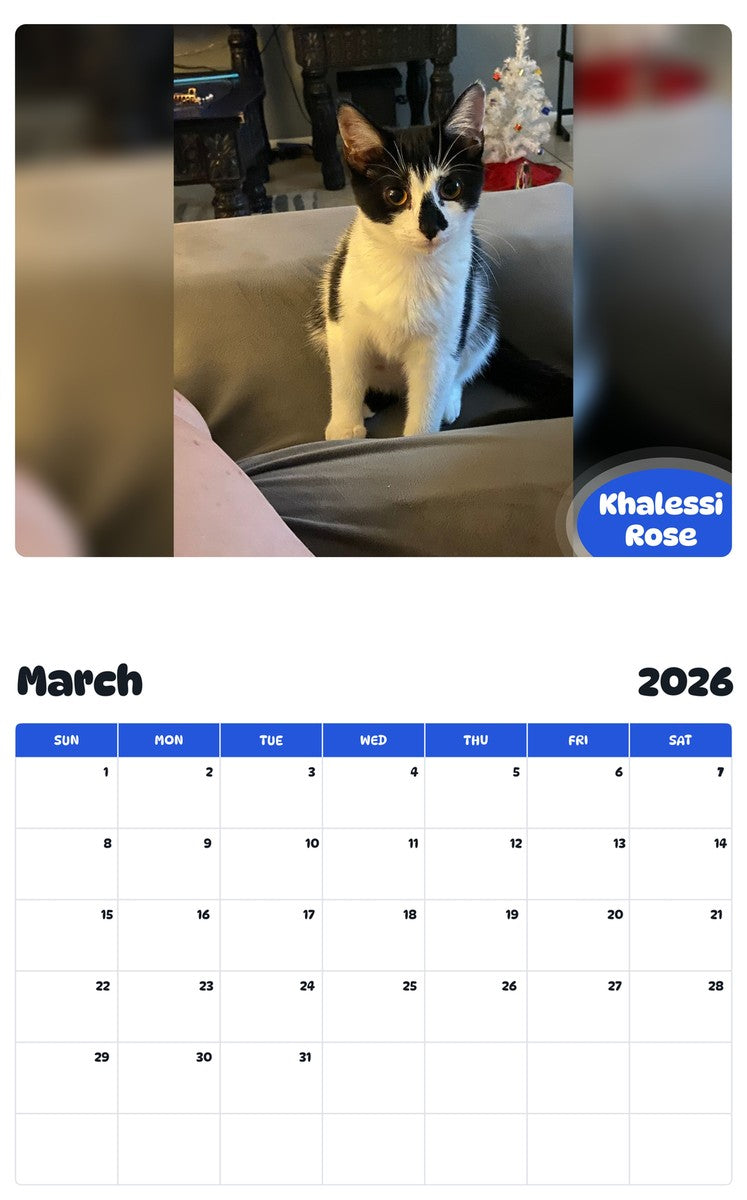 November 2025 - October 2026 Khalessi Rose - Pawidols Pet Calendar