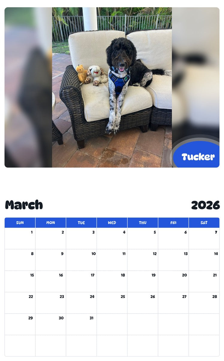 November 2025 - October 2026 Tucker - Pawidols Pet Calendar