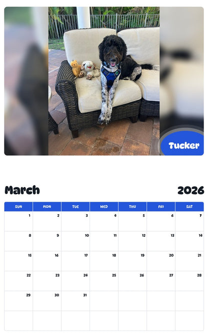 November 2025 - October 2026 Tucker - Pawidols Pet Calendar