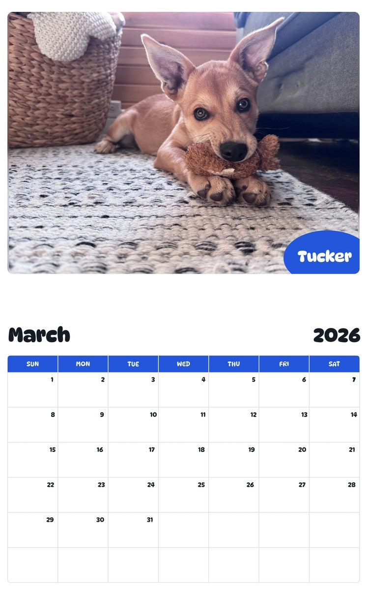 November 2025 - October 2026 Tucker - Pawidols Pet Calendar