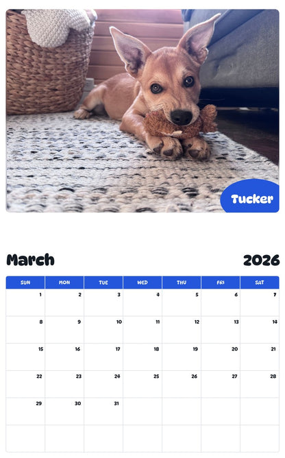 November 2025 - October 2026 Tucker - Pawidols Pet Calendar
