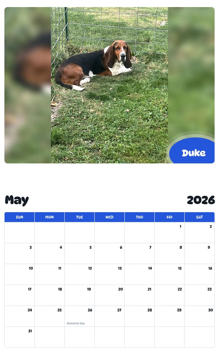 2026 - 2027 Duke - Pawidols Pet Calendar