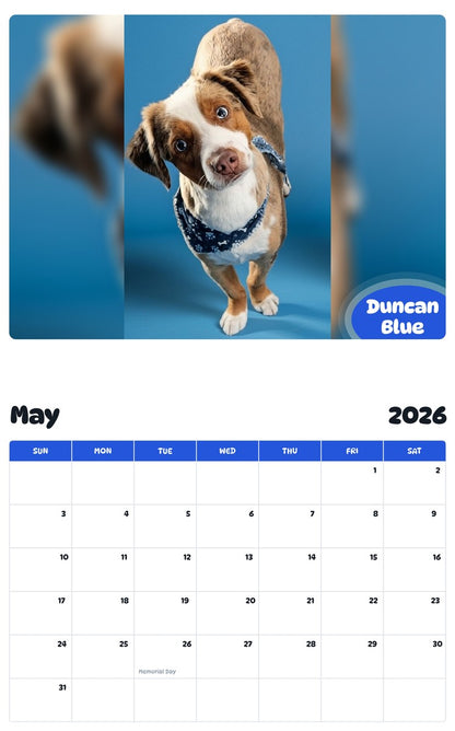 2026 - 2027 Duncan Blue - Pawidols Pet Calendar