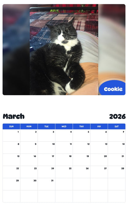November 2025 - October 2026 Cookie - Pawidols Pet Calendar