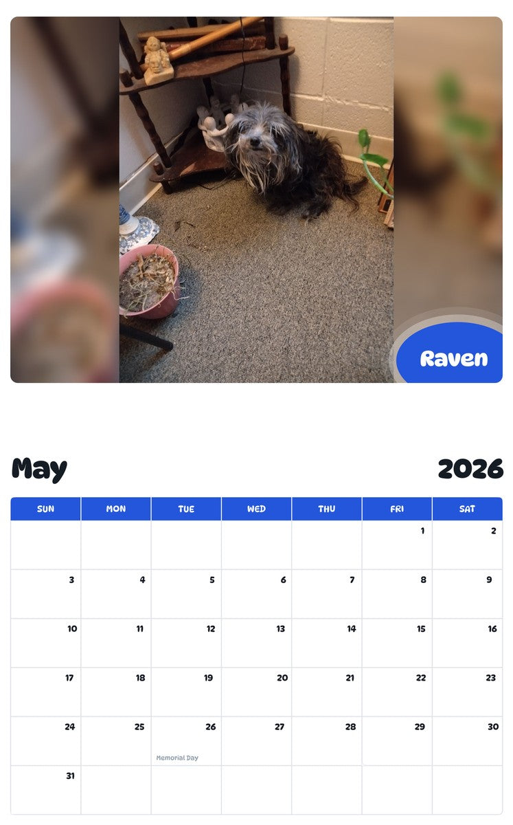 2026 - 2027 Raven - Pawidols Pet Calendar