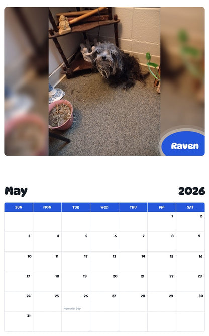 2026 - 2027 Raven - Pawidols Pet Calendar