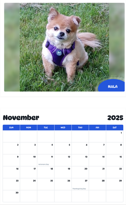 July 2025 - June 2026 Nala - Pawidols Pet Calendar