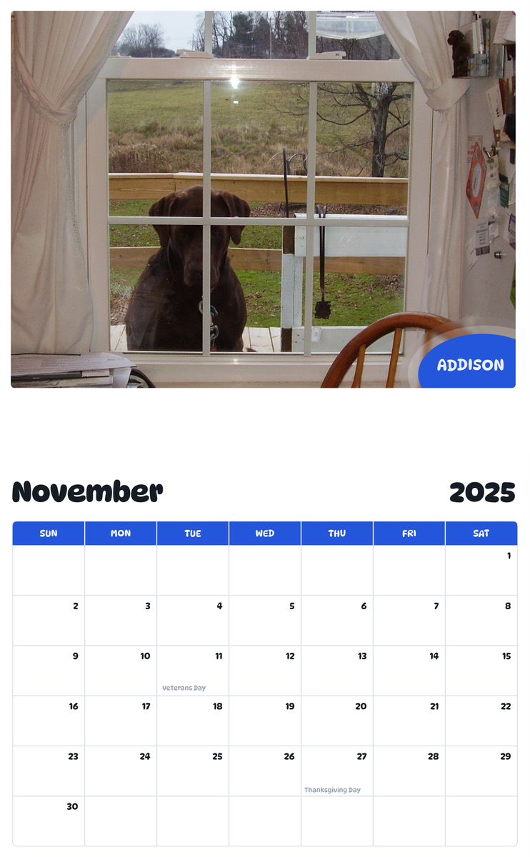 July 2025 - June 2026 Addison - Pawidols Pet Calendar