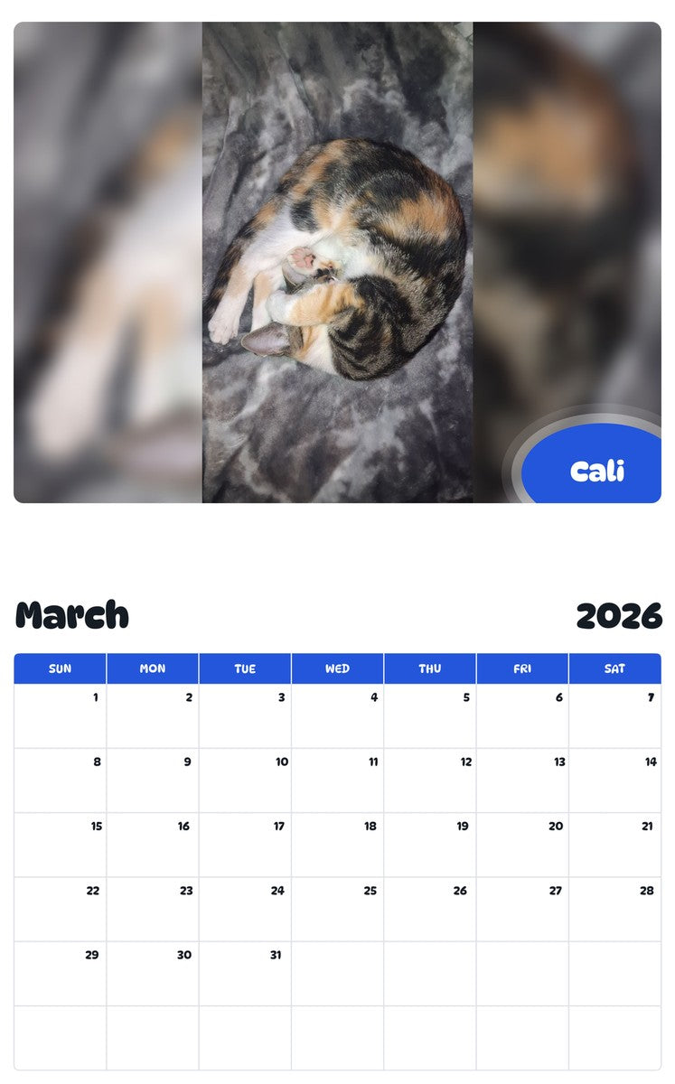 November 2025 - October 2026 Cali - Pawidols Pet Calendar