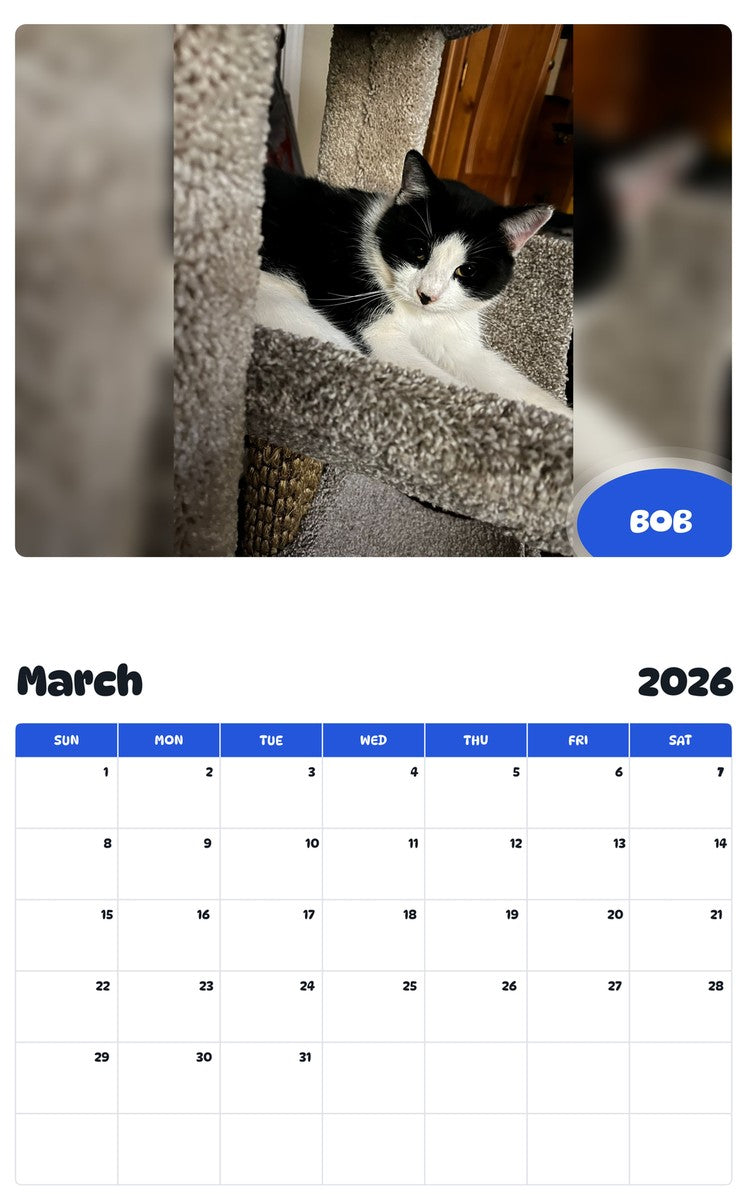 November 2025 - October 2026 BOB - Pawidols Pet Calendar