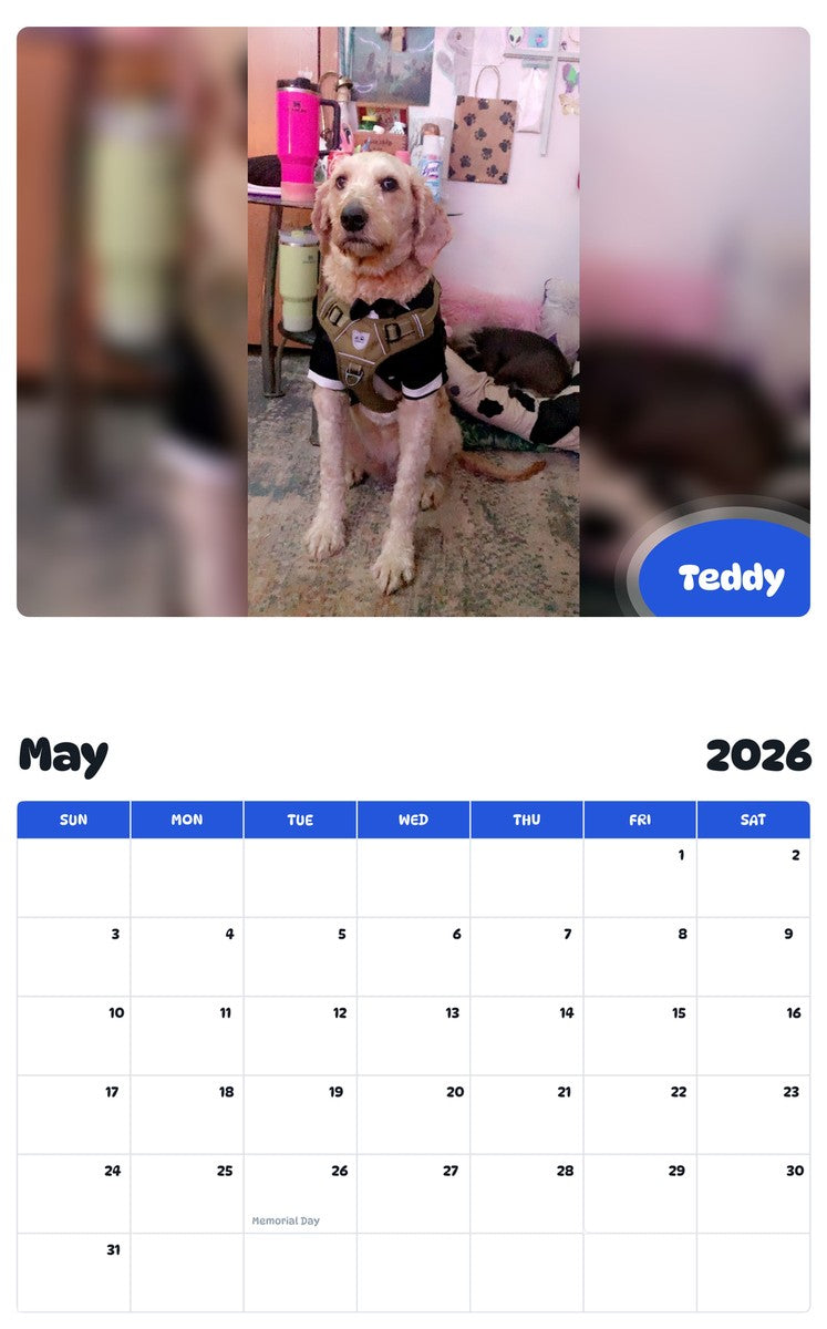 2026 - 2027 Teddy - Pawidols Pet Calendar