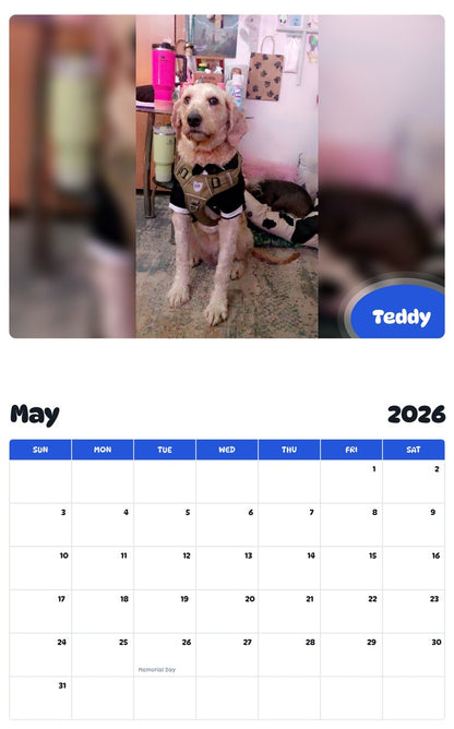 2026 - 2027 Teddy - Pawidols Pet Calendar