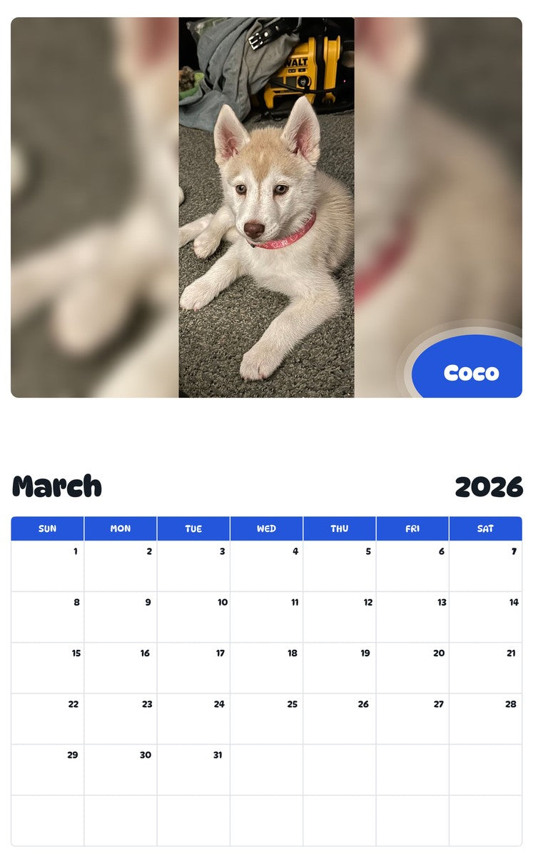 November 2025 - October 2026 Coco - Pawidols Pet Calendar