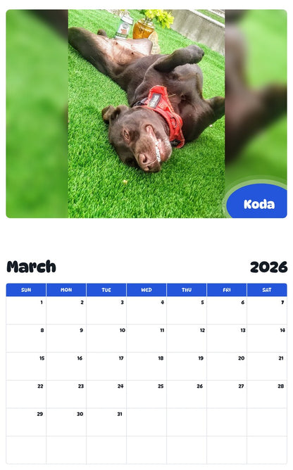 November 2025 - October 2026 Koda - Pawidols Pet Calendar
