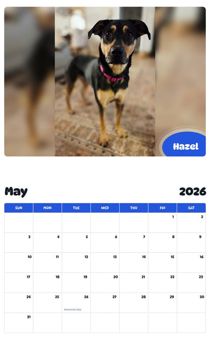 2026 - 2027 Hazel - Pawidols Pet Calendar