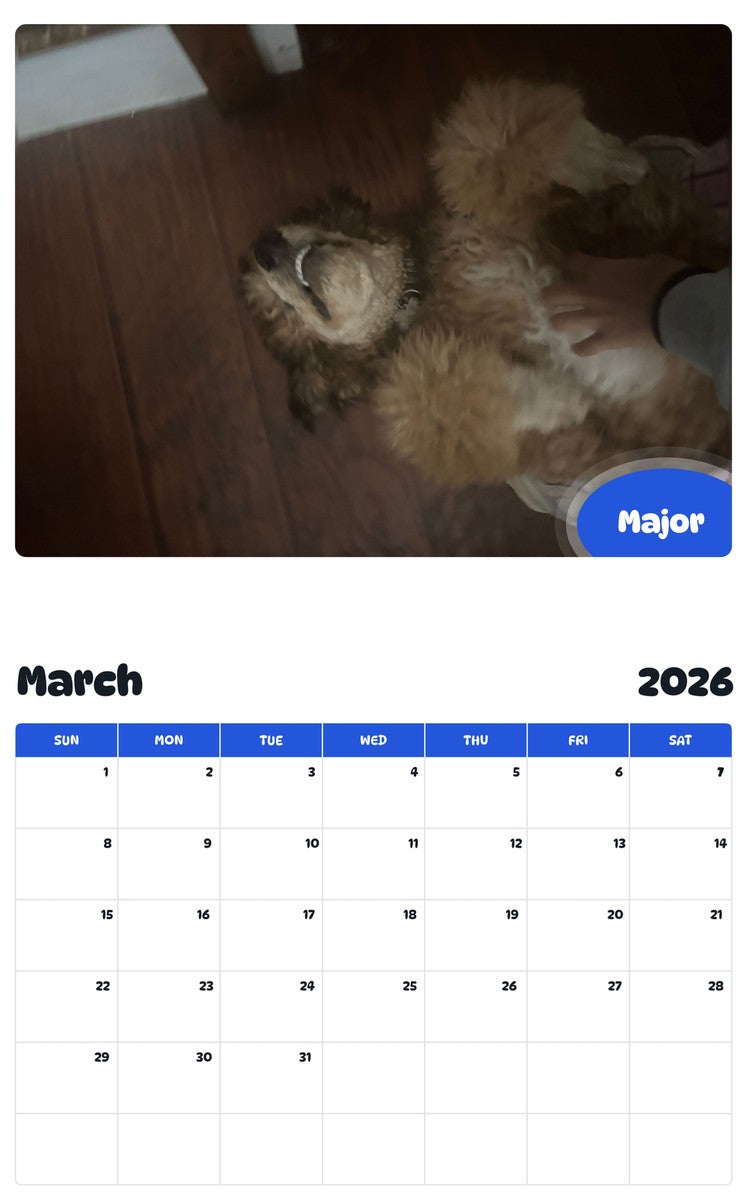 November 2025 - October 2026 Major - Pawidols Pet Calendar