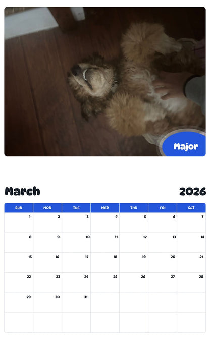 November 2025 - October 2026 Major - Pawidols Pet Calendar