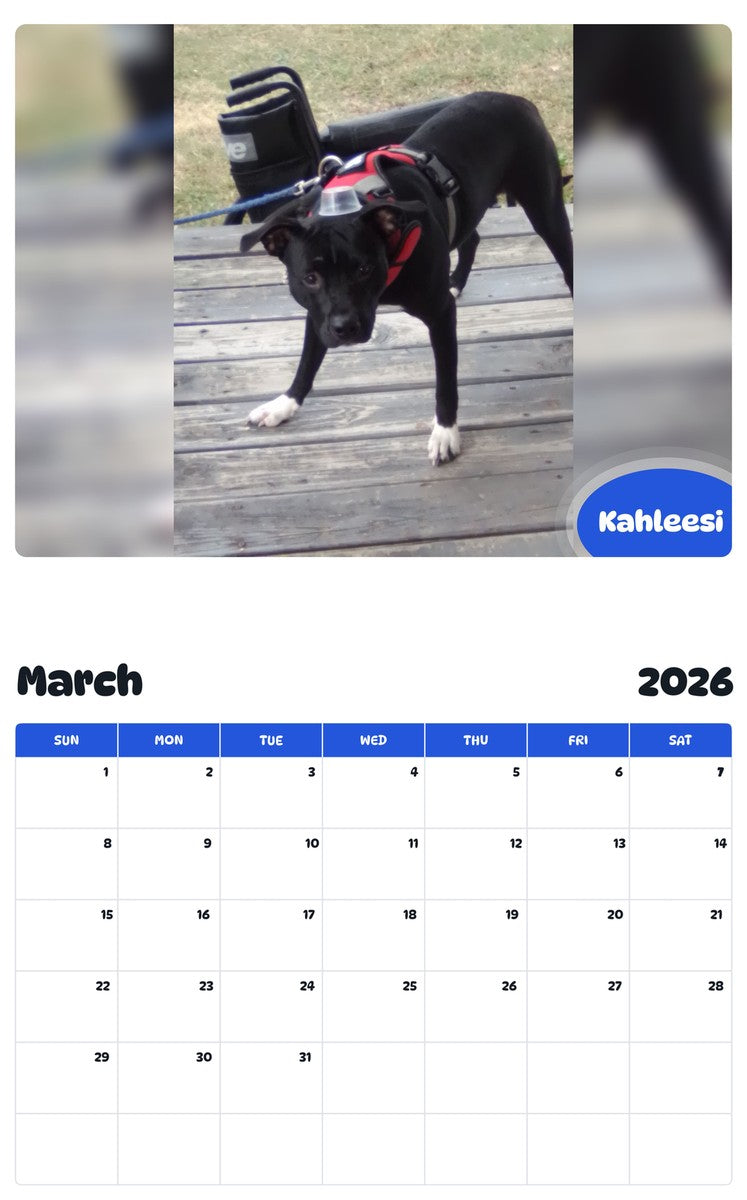 November 2025 - October 2026 Kahleesi - Pawidols Pet Calendar