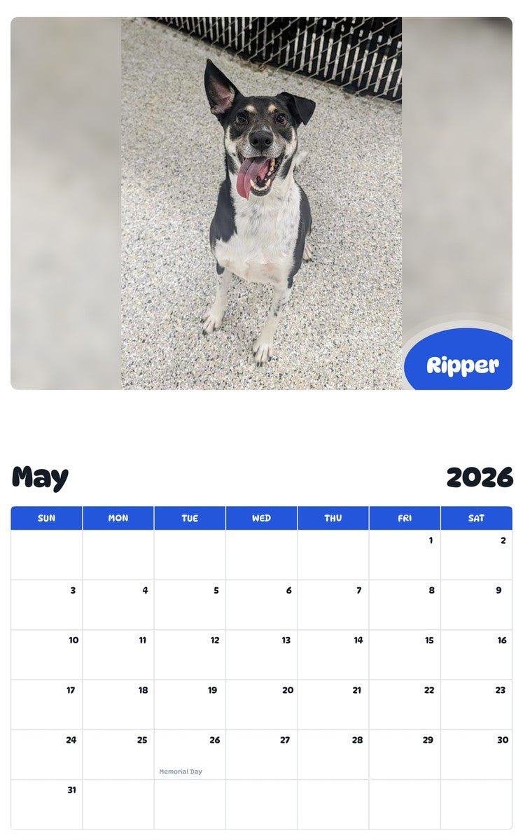 2026 - 2027 Ripper - Pawidols Pet Calendar