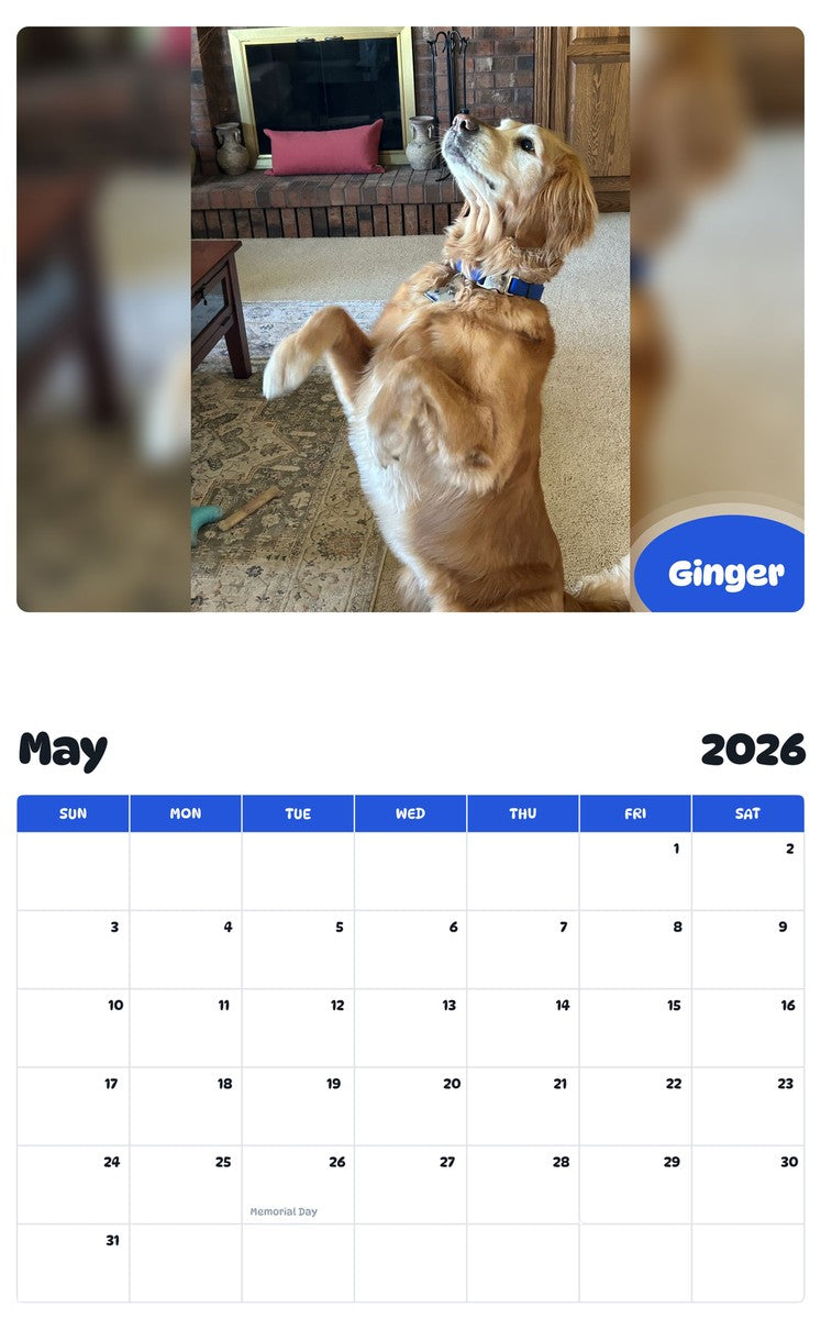 2026 - 2027 Ginger - Pawidols Pet Calendar