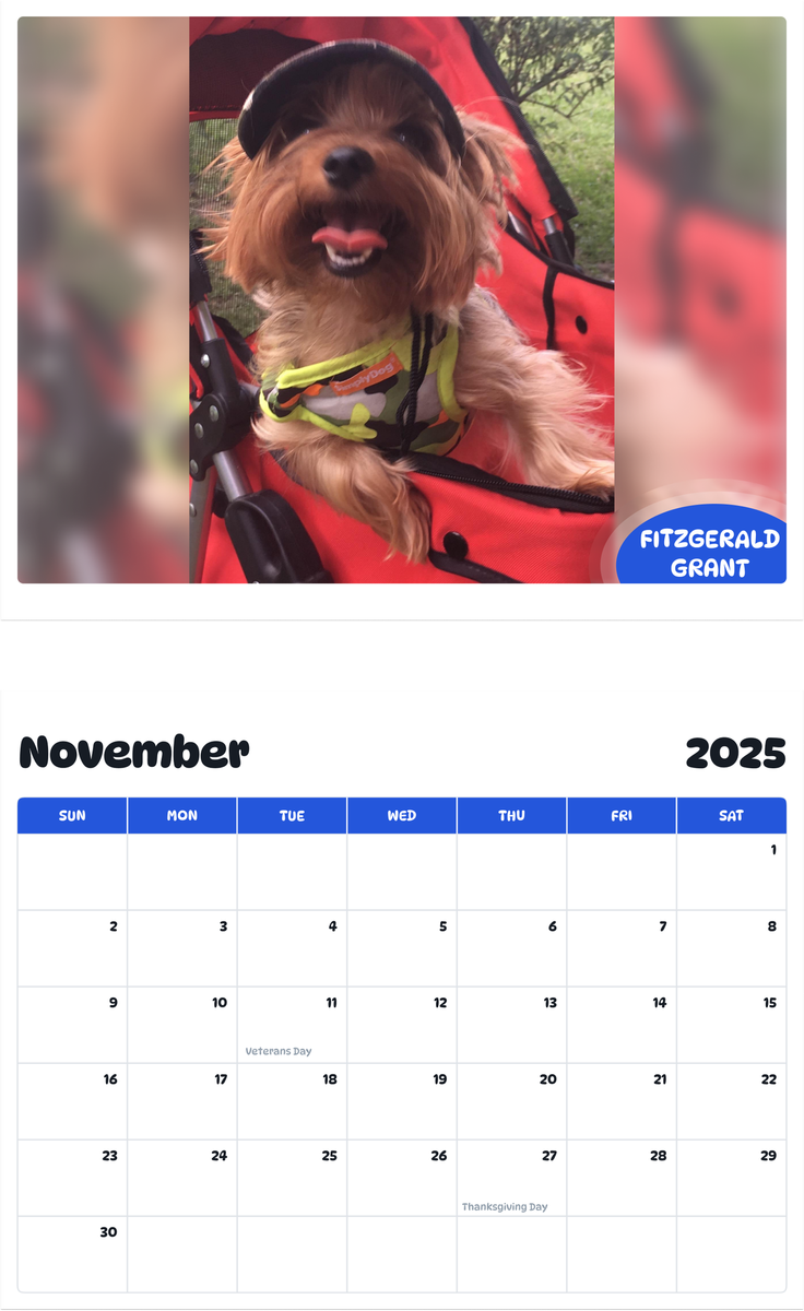 July 2025 - June 2026 Fitzgerald Grant - Pawidols Pet Calendar