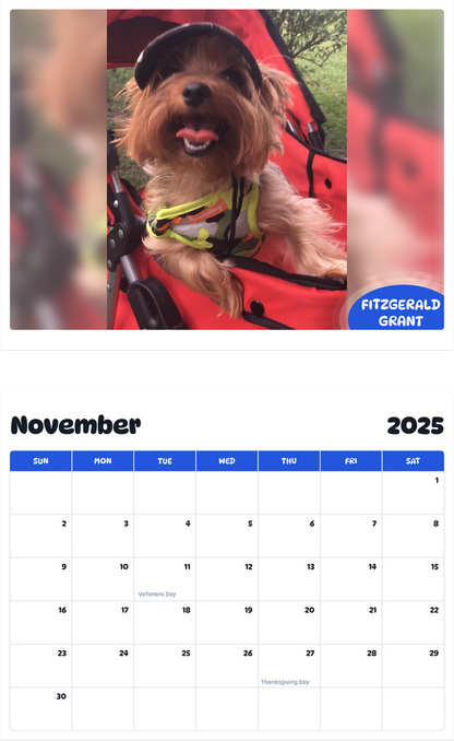 July 2025 - June 2026 Fitzgerald Grant - Pawidols Pet Calendar
