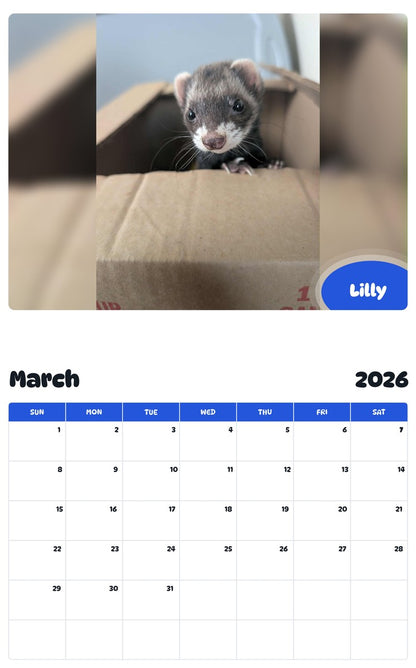 November 2025 - October 2026 Lilly - Pawidols Pet Calendar