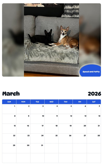 November 2025 - October 2026 Speed and Patty - Pawidols Pet Calendar