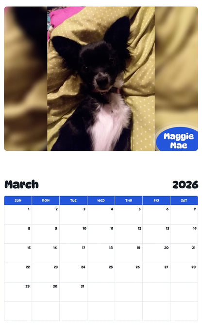November 2025 - October 2026 Maggie Mae - Pawidols Pet Calendar