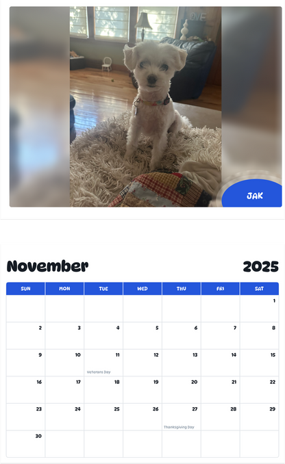 July 2025 - June 2026 Jak - Pawidols Pet Calendar