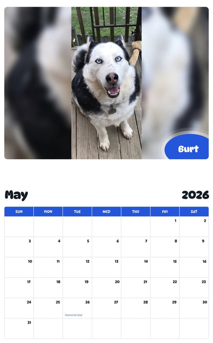 2026 - 2027 Burt - Pawidols Pet Calendar