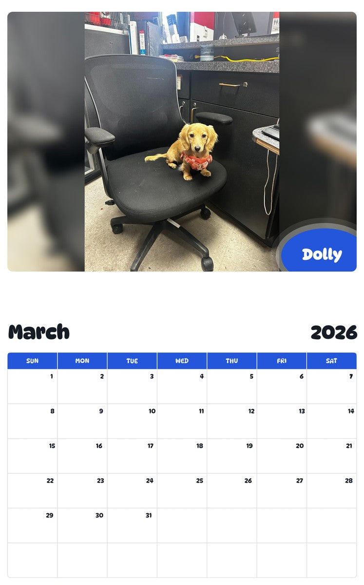 November 2025 - October 2026 Dolly - Pawidols Pet Calendar