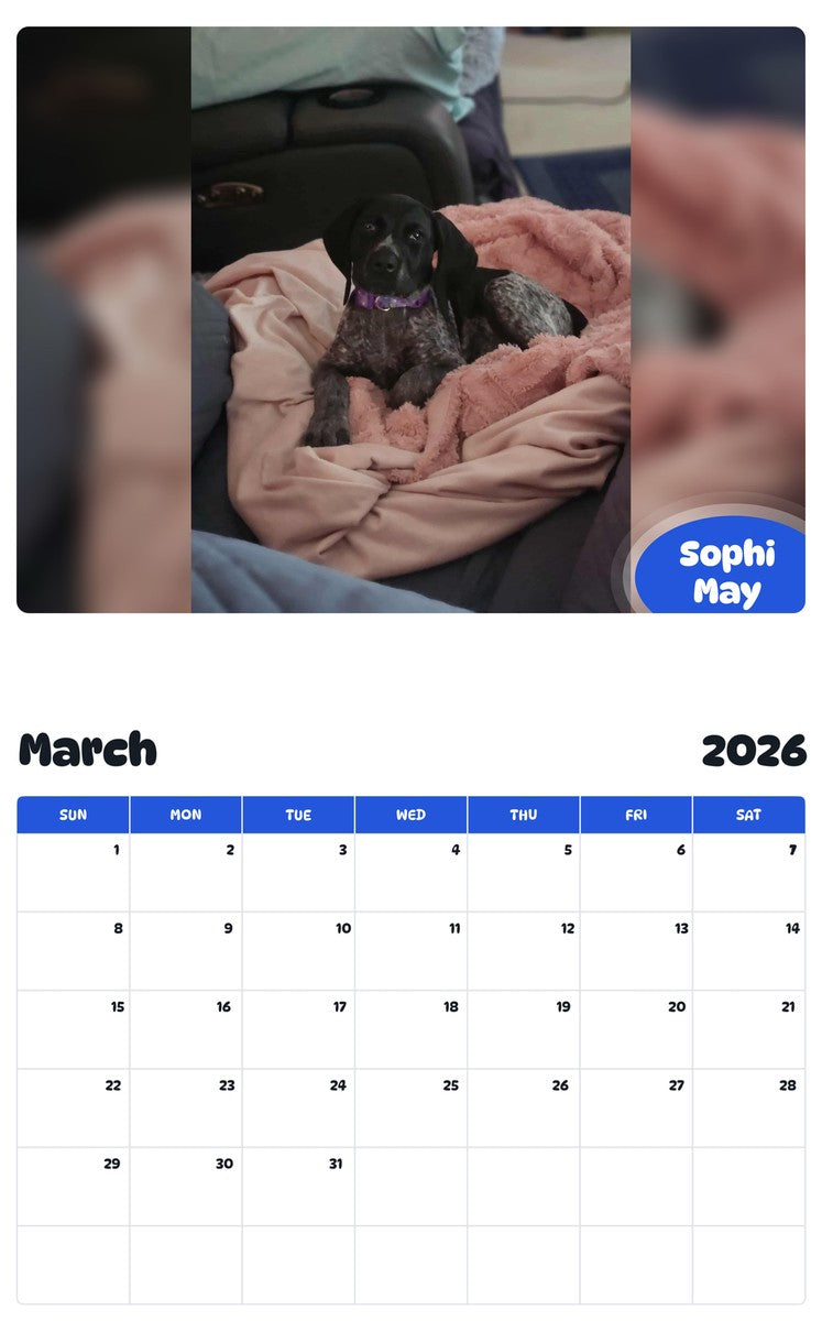 November 2025 - October 2026 Sophi May - Pawidols Pet Calendar